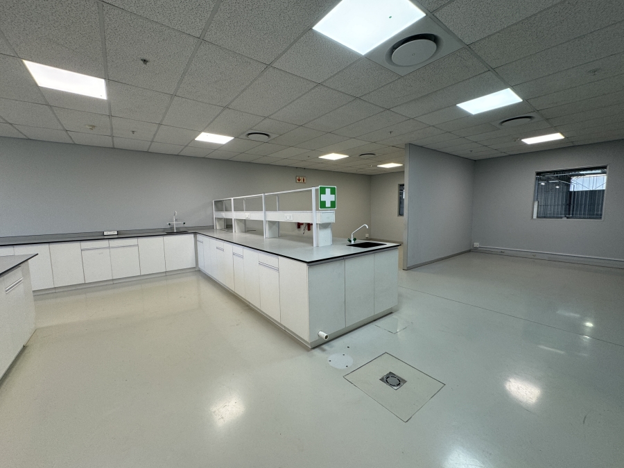 To Let commercial Property for Rent in Montague Gardens Western Cape